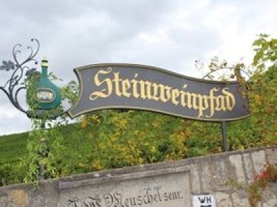 fuehrungen-steinweinpfad